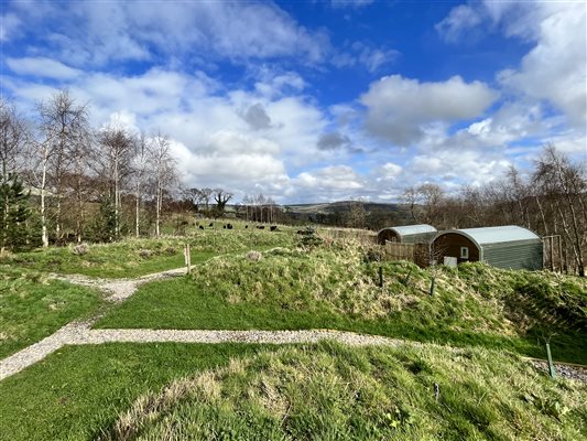 Cabins with the Hebridean Sheep grazing in the background